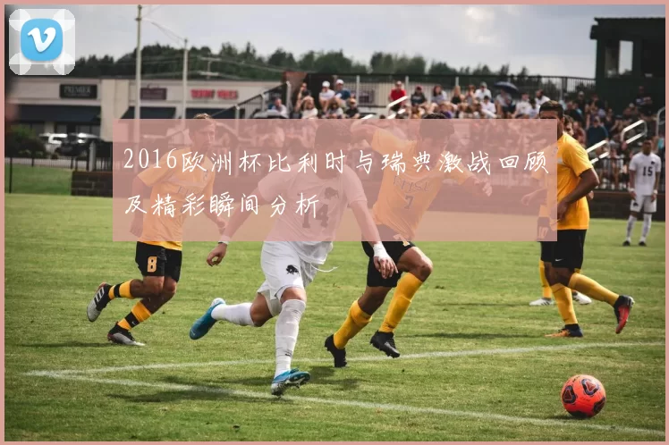 2016欧洲杯比利时与瑞典激战回顾及精彩瞬间分析