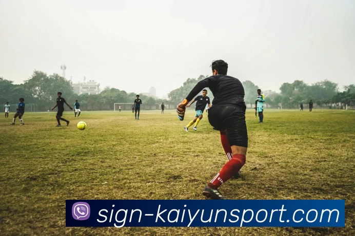 开云平台生态图